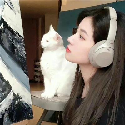 小资女夯什么